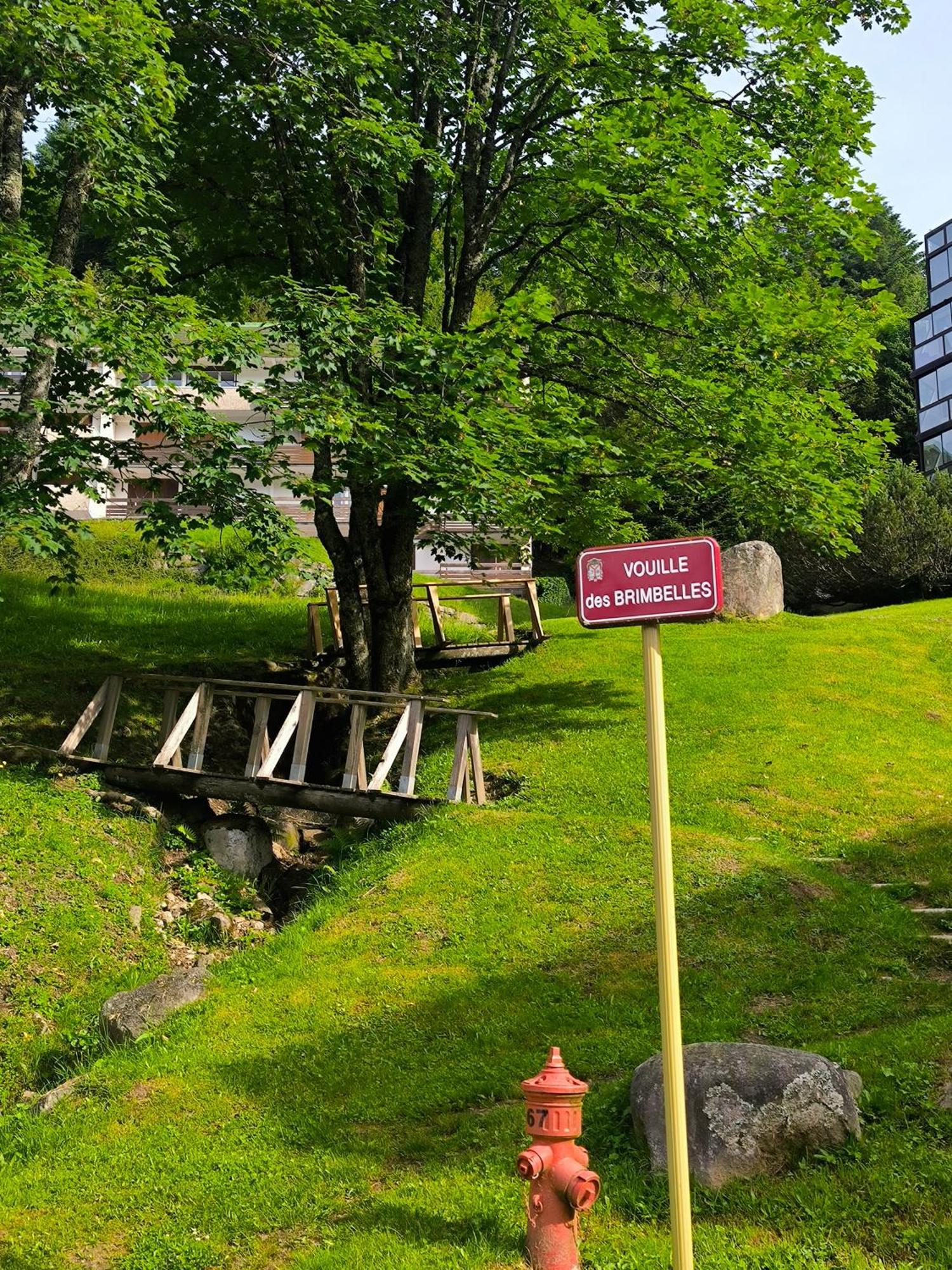 La Bulle Des Sapins Apartment La Bresse Ngoại thất bức ảnh